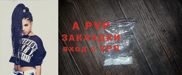 ПСИЛОЦИБИНОВЫЕ ГРИБЫ Кукмор